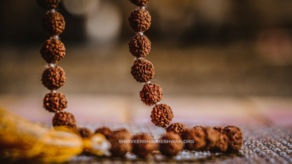 What is Rudraksha